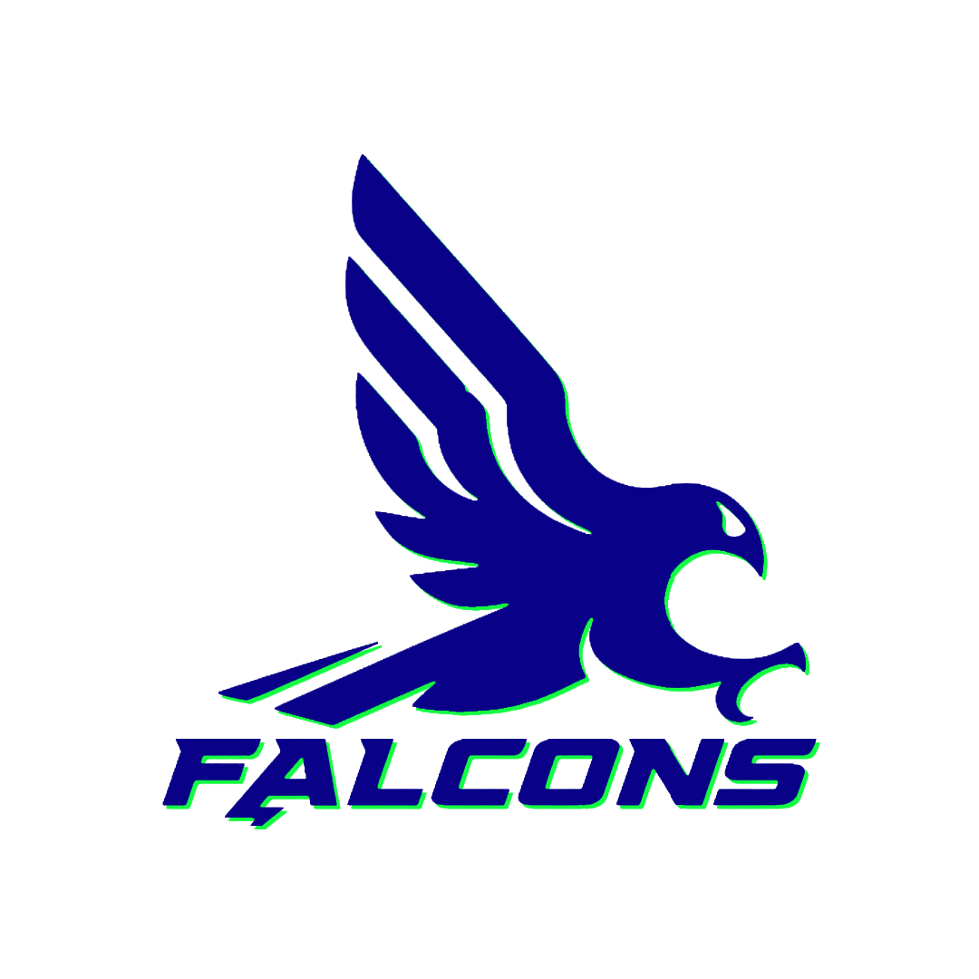 Saint John Falcons